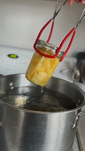 255K views · 18K reactions | Canuary day 13 - pineapple (and a bonus blueberry tutorial as well) this is hands down the easiest canning recipe youll ever do, so its perfect for beginners! Dont mind my nasally voice…fighting a sinus infection 沈 #canningforbeginners #canning101 #homestead #canning #canningandpreserving #foodstorage #urbanhomestead #selfsufficient #foodstoragetips #canningpineapple #wellness | Barefoot.mimosas | Facebook