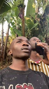 #ndokicomedian #tanzania | Ndoki Comedian