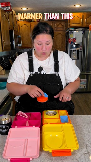 If there’s one thing about me I will give an honest review. #omnibox #lunchboxreview #lunchtest #lunchboxtest #bentobox #honestreviews #realisticreview #realmomreview #isitworthit | Applesauceandadhd