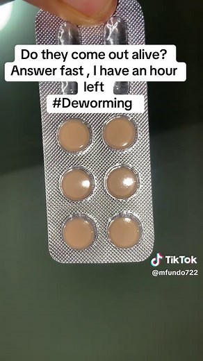 Deworming: What to Expect and How It Works