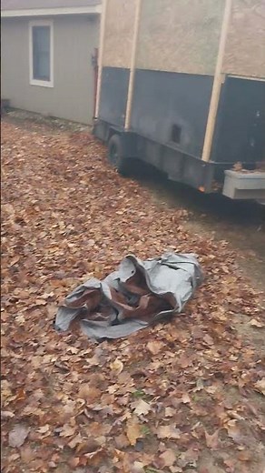 new Echo 9010T & a new 18 hp billy goat Leaf loader at work