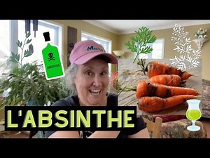 Pourquoi avoir de l'absinthe dans son jardin? - capsule horticole