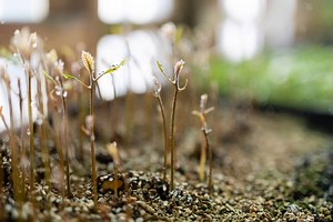 Our Story | Rural Design