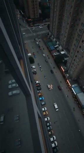 Cat jumped off building!!