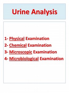 Urine Analysis - SlideServe
