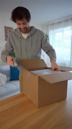 573pcs One Piece Phone Bug Building Blocks Set