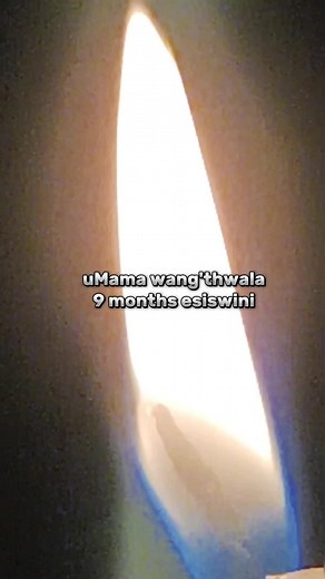 Peaceful_Hits on TikTok