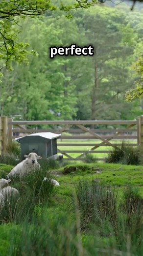 Great Railway Journeys Around Britain 🚆🌍 There’s something magical about exploring Britain by rail — a chance to sit back, relax, and watch centuries of history unfold outside your window. From dramatic coastlines to rolling countryside, from ancient cities to remote highlands, our railways offer some of the most unforgettable journeys anywhere in the world. Whether it’s the breathtaking sweep of the Settle–Carlisle Line crossing the Ribblehead Viaduct… the nostalgic charm of the West Highland