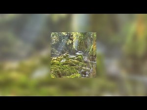 bad habit - sped up | 1 Hour Loop