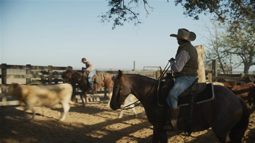 Conservation is more than a project—it’s a vision for the future. With 86 percent of Gulf Coast land privately owned, meaningful change starts with collaboration. That’s why NFWF and USDA Natural Resources Conservation Service are working hand-in-hand with farmers, ranchers and forest landowners to voluntarily adopt conservation practices on their land. 🎥 Watch the full-length video to see how this partnership is building a more resilient future for wildlife and communities in the Gulf states. 