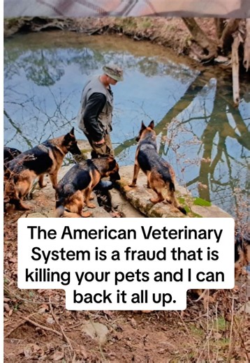The American Veterinary system is a scam that is overmedicating your pets and killing them at an early age. I can back it all up with detailed evidence. My goal for this channel is to expose the abuse animals are receiving via American Vets and to educate on real canine health. Follow for more. #vet #veterinarymedicine #fraud #animalabuseawareness