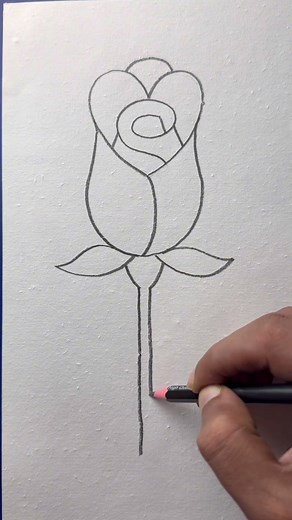Simple and easy rose drawing with pencil