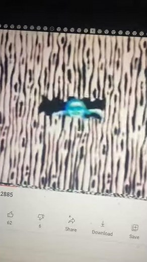 Sesame Street Rubber Stamps #11