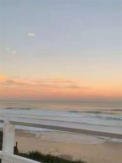 Albert the Border Collie: Tricks and Fun