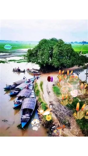 Use Tik_Tok Filter with Effect (@tik_tok_filters_2025)’s videos with original sound - Raihan Raju