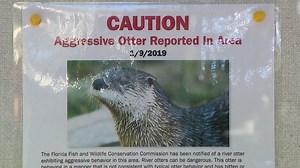 Florida officer kills rabid otter following several attacks