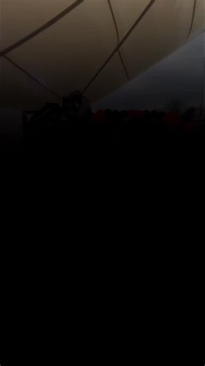 Fiesta Halloween 🎃 | Bicho’s