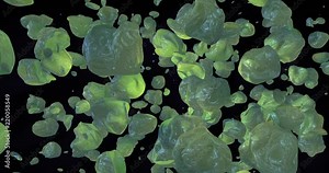 Motion graphics of particles. The movement of the object is similar to that of a living creature or strange object in the air or space.