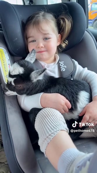 Baby and baby goat #baby #funny #cute #fouryou #fyp #goat #tiktok #happy