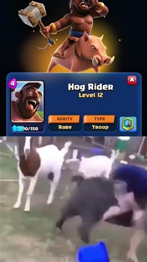 Hog riderrrrrrr!!!!!!