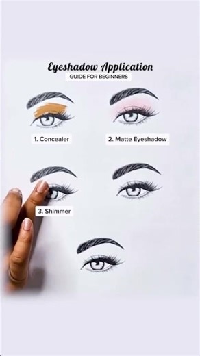 Eyeshadow Application Guide For Beginners #trending #makeup #shorts #eyemakeup #shortvideo