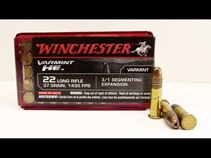22LR Winchester Varmint HE Gel Test