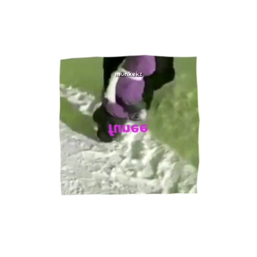 Funny Monkey GIFs: Loveable and Hilarious