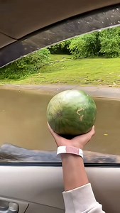 Hippo vs Watermelon 😂🐋 #shorts #viral | Vishal Vishal