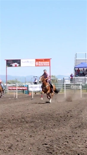 #nsca #fyp #omoksee #equestrian #westernmedia