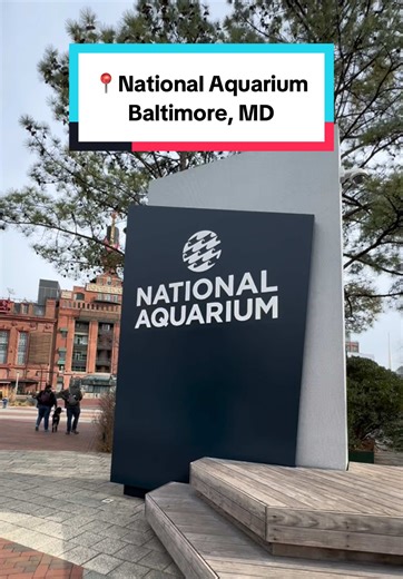 Spent the day exploring the @National Aquarium in Baltimore and it was such a beautiful, immersive experience. The exhibits are stunning, the flow is super easy to navigate, and the whole place feels like stepping into another world. I even got the chance to pet Atlantic Horseshoe Crabs and Moon Jellies — such a surreal, gentle little moment that made the visit even more special. 📍 National Aquarium 501 E Pratt St Baltimore, MD 21202 ➡️ Follow me @thereelhungrypanda on Instagram & TikTok for mo