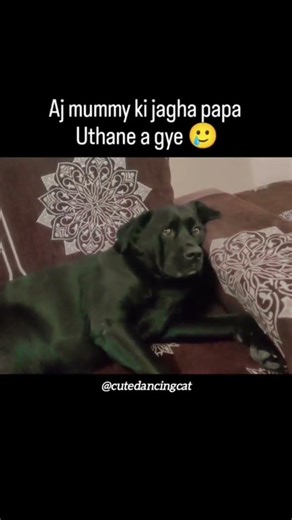 subah subah lecture sun liya #meme #memes #memehub #funnymemes #fun #funny #comedy #shorts #trending