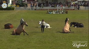 Great Yorkshire Show highlights part 3 of 4 Video captured by AVMatrix | Ben Atkinson