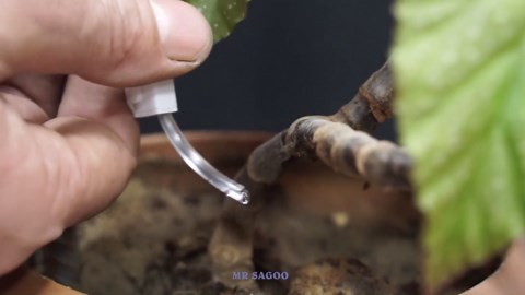 Top 62 best inventions! You may need it!