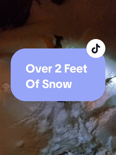 Everyone online panicking over 2–3 feet of snow. Meanwhile, my dog is out here playing in 2.5 feet like this is a lifestyle choice. It’s snow. Not the end of the world. Prepare, don’t panic. Clear your paths. And please make a potty lane for your dog… because frozen wieners help no one. #snow #winterstormfern #mountainlife #dog #snowstorm