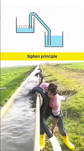 What is the siphon principle? #Science in life #Siphon principle #Popular science #Practical tips