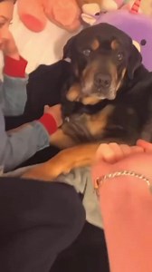 Try your dog ! | Middle Finger