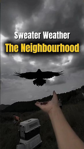 Sweater Weather ~ Song by The Neighbourhood