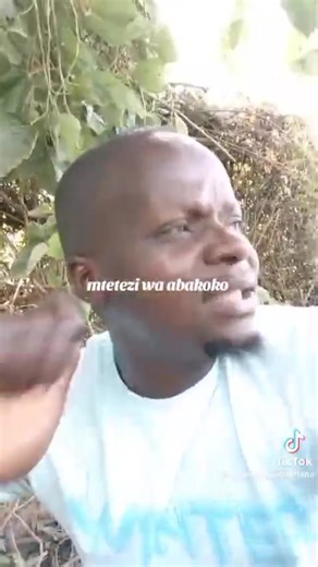 This is the spotted hyena, one of Africa’s most misunderstood animals and one of the most fascinating when it comes to reproduction. The spotted hyena lives in large family groups called clans. These clans are led by females not males. Female hyenas are bigger, stronger and more dominant. In this society, males must be calm, patient and respectful. Females choose who they want to mate with. A pushy or aggressive male has no chance. One of the most unusual things about spotted hyenas is the femal