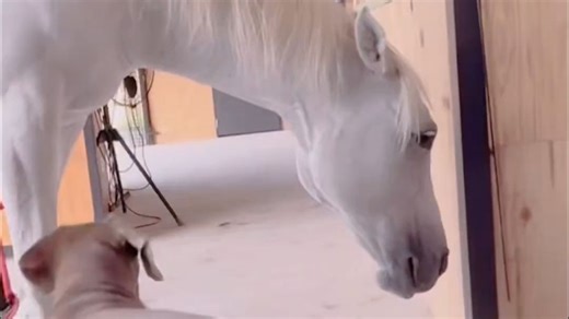 露娜：讨厌的家伙！