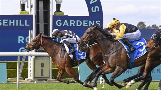 Mitch Cohen, Shayne O'Cass Randwick tips: Saturday July 26, 2025