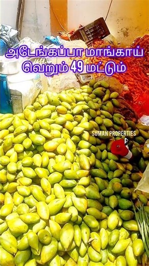 ஒரு கிலோ மாங்காய் 49/- மட்டுமெ