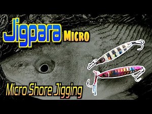 [Major Craft Jigpara Micro SLIM 7g] How to catch fish? [Micro Shore Jigging]