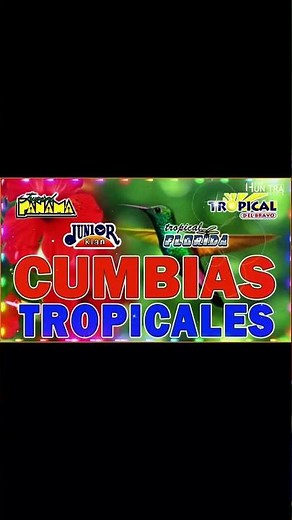 TROPICAL FLORIDA, TROPICAL DEL BRAVO...💃🍹🌴CUMBIAS TROPICALES MIX PARA BAILAR 20 GRANDES ÉXITOS