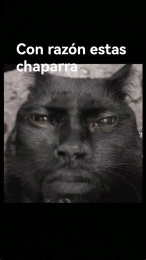 ya me entere que eres un alien(mi versión de fotos)