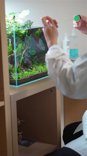 Adding Java Moss to the Nano Aquascape