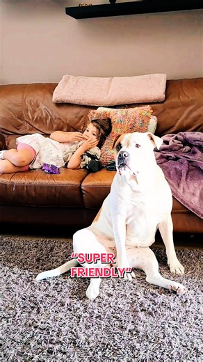 Elsa's Friendly Dog Encounter at ELSADOM Compilation