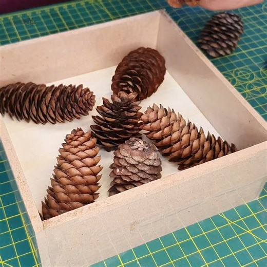 DIY Ashtray using Pine Cones and Epoxy Resin | DIY & Crafts