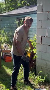 I’m gonna fire him next week #reels #goldenfishes #fishes #aquarium #lukesgoldies | Tora The Belgian Malinois