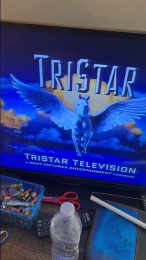 Sternin & Fraser Ink, Inc./Tristar Television (1993)