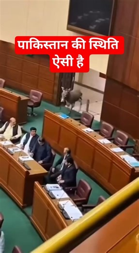 पाकिस्तान की हालत सच में ऐसी है Pakistan Really in This Condition?"